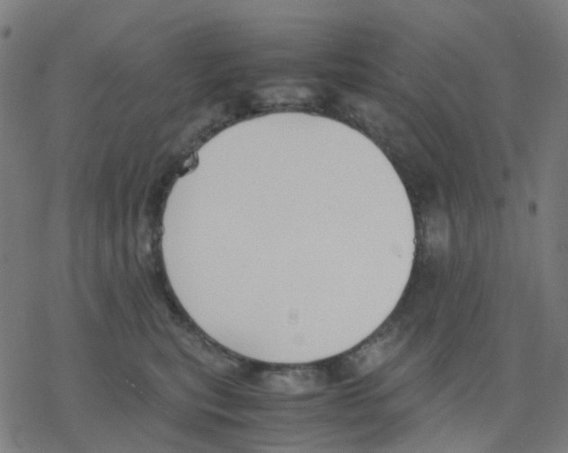 X0000078240567200612011607