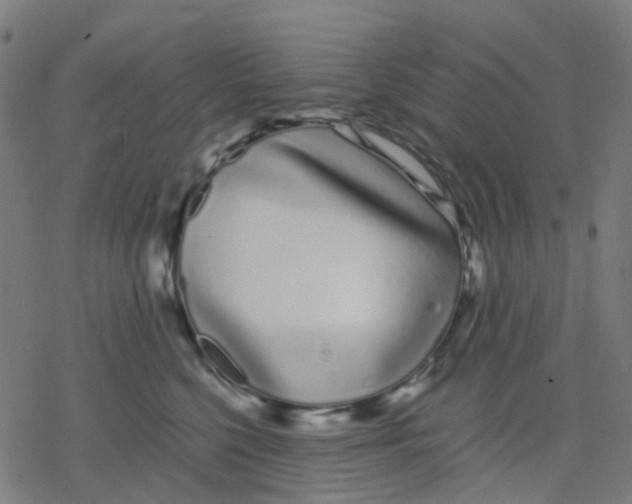 X0000078240568200612011607