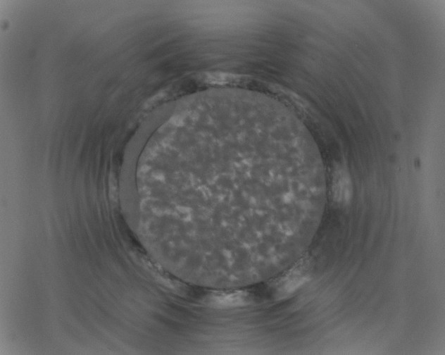 X0000078240569200612011607