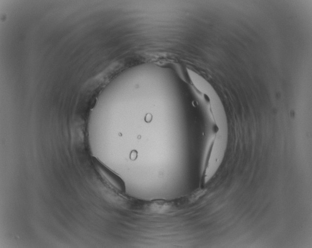 X0000078240570200612011607