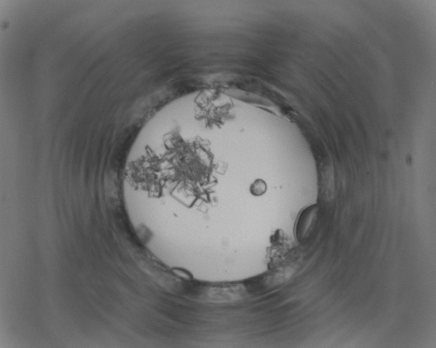 X0000078240571200612011607