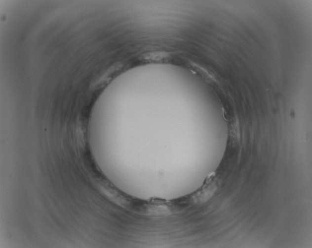 X0000078240572200612011607