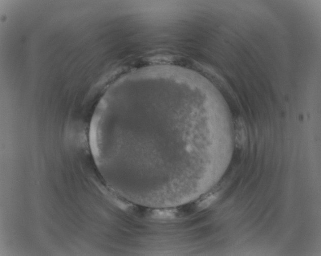 X0000078240573200612011607