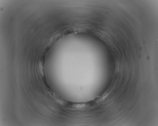 X0000078240575200612011607