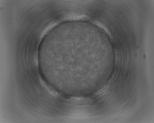 X0000078240582200612011607