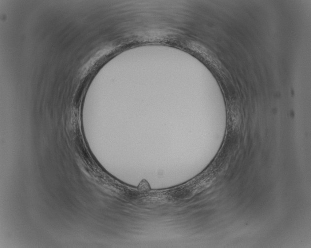 X0000078240583200612011607