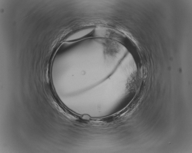 X0000078240585200612011607