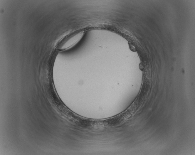 X0000078240587200612011607