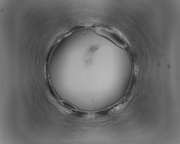 X0000078240589200612011607