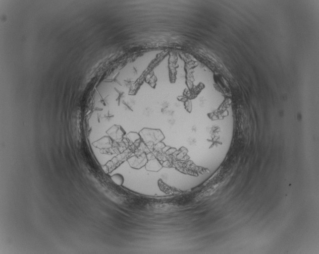 X0000078240590200612011607