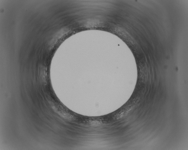 X0000078240592200612011606