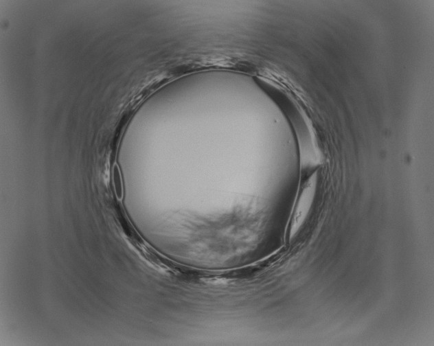 X0000078240593200612011606