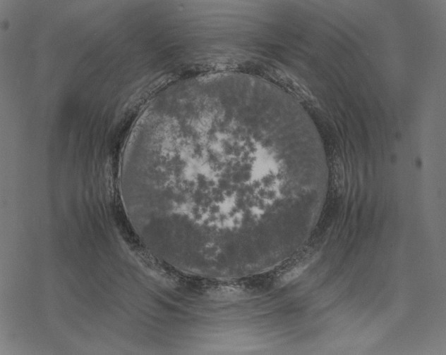 X0000078240594200612011606