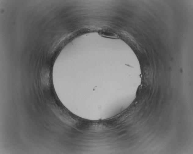 X0000078240596200612011606