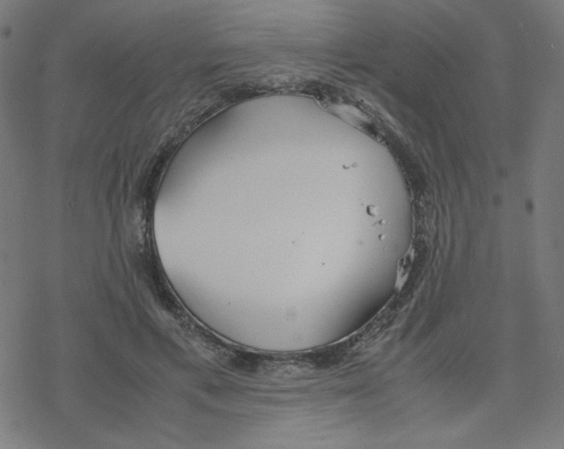 X0000078240597200612011606