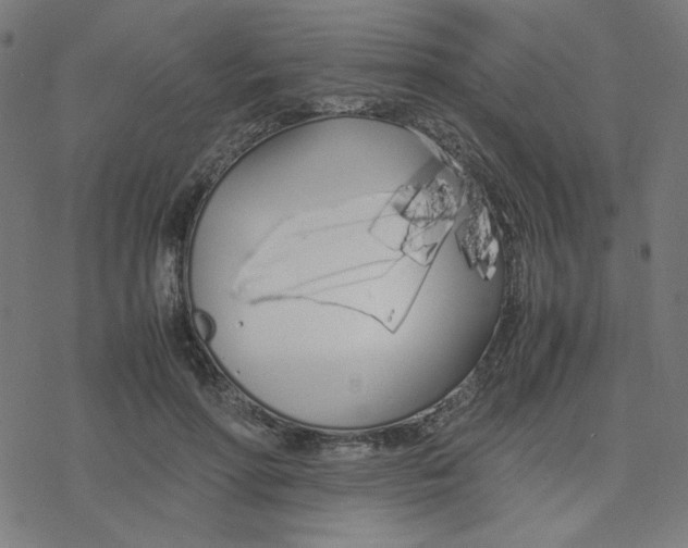 X0000078240598200612011606