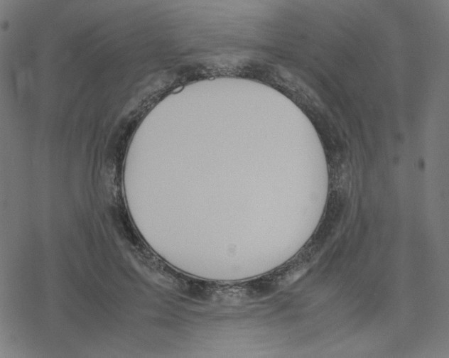 X0000078240599200612011606