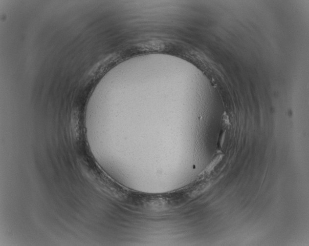 X0000078240600200612011606