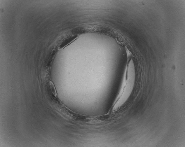 X0000078240601200612011606