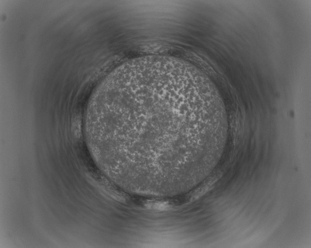 X0000078240602200612011606