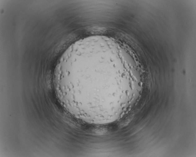 X0000078240604200612011606