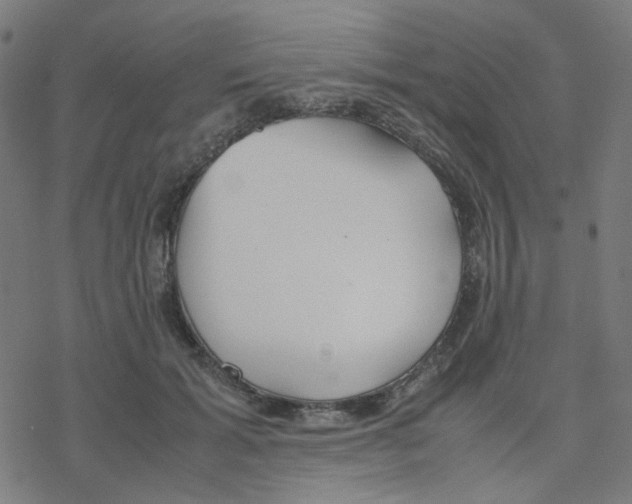 X0000078240605200612011606