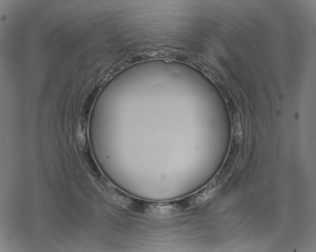 X0000078240607200612011606