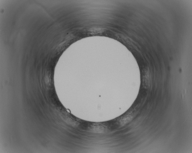 X0000078240608200612011606