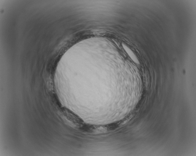 X0000078240609200612011606