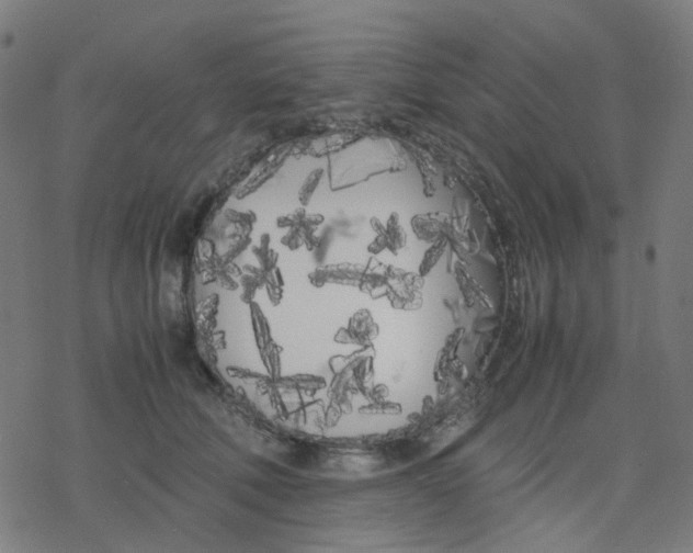 X0000078240610200612011606