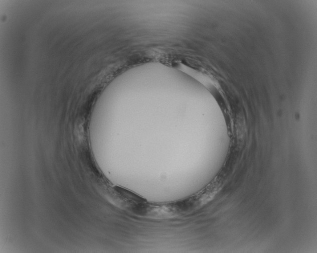 X0000078240611200612011606