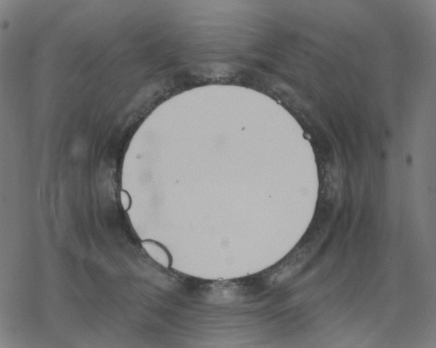 X0000078240612200612011606