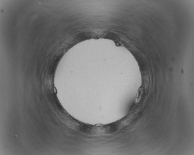 X0000078240613200612011606