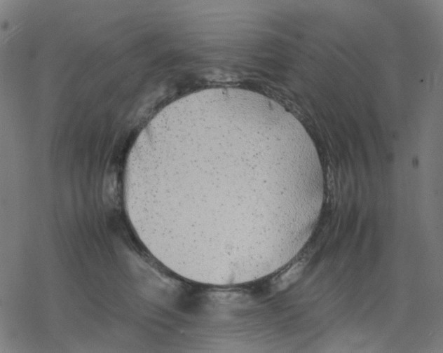 X0000078240614200612011606