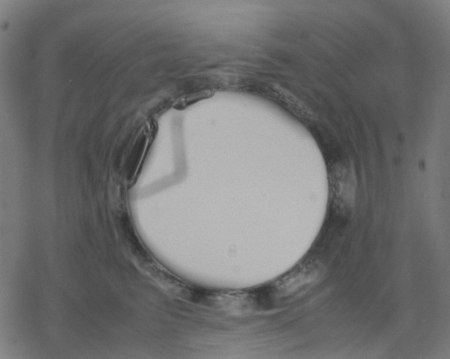 X0000078240615200612011606