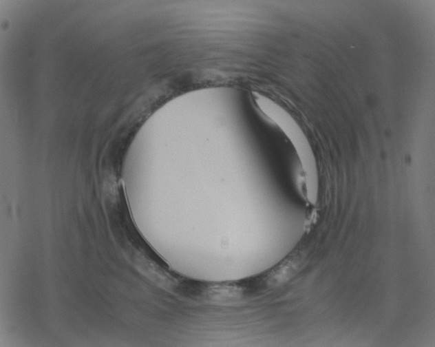 X0000078240617200612011606