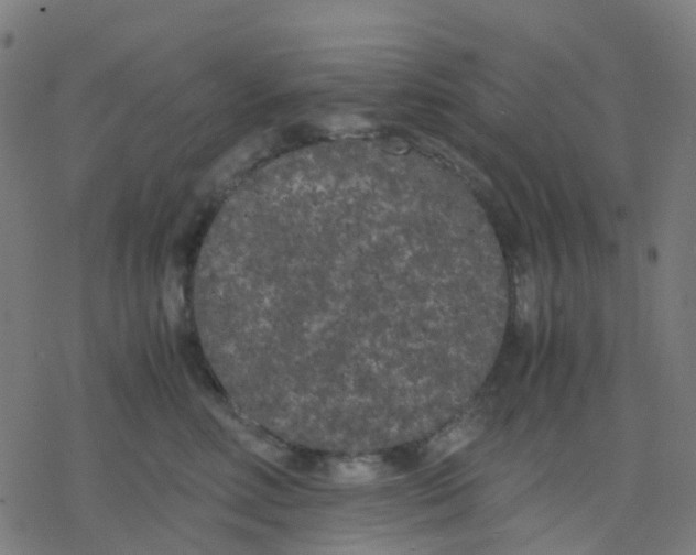 X0000078240618200612011606