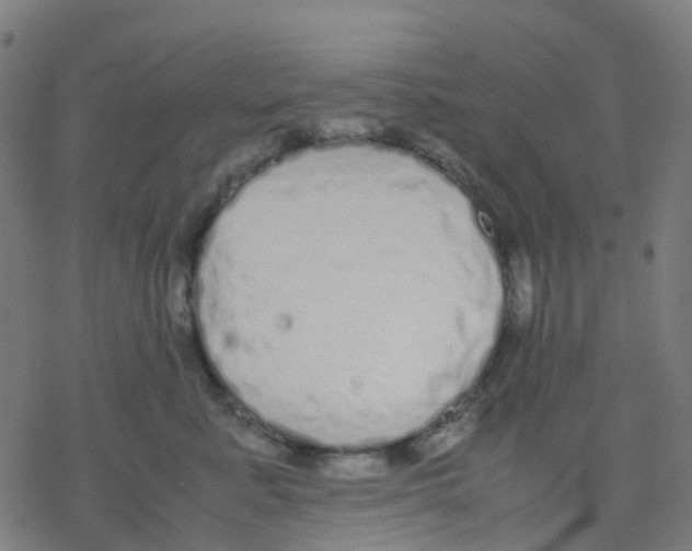 X0000078240619200612011606