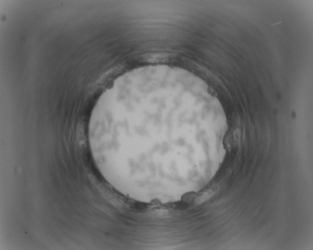 X0000078240620200612011606