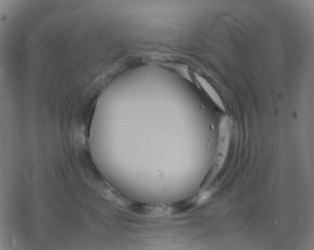 X0000078240621200612011606