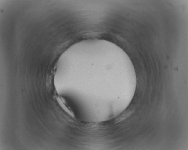 X0000078240624200612011606