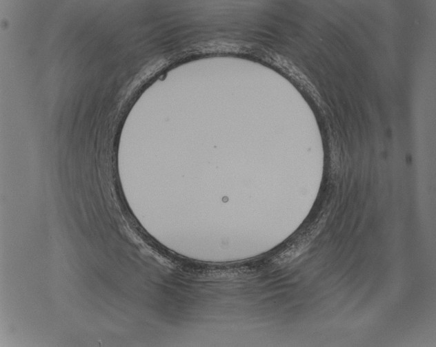 X0000078240625200612011605