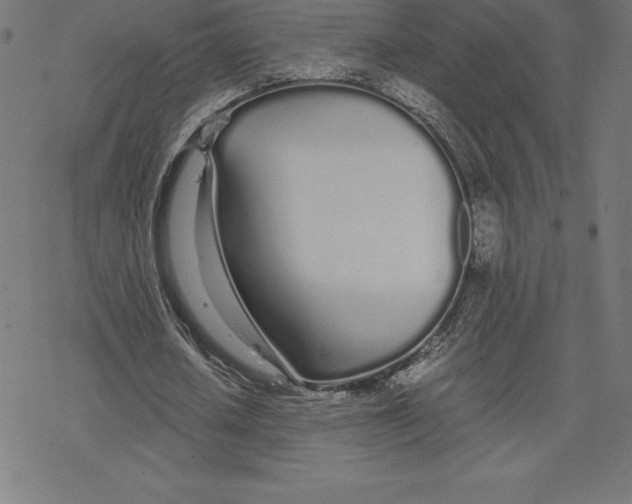 X0000078240626200612011605