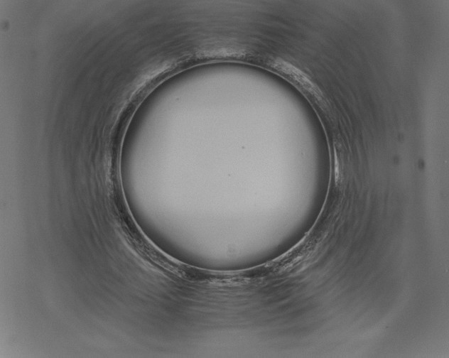 X0000078240627200612011605