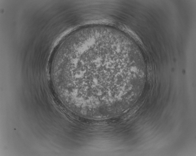 X0000078240628200612011605