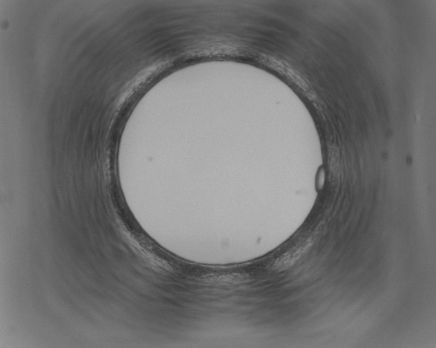 X0000078240629200612011605