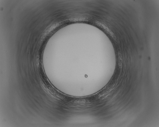 X0000078240631200612011605