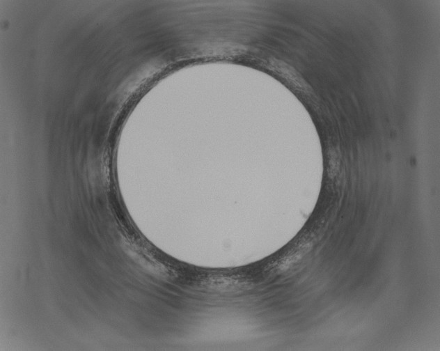 X0000078240632200612011605