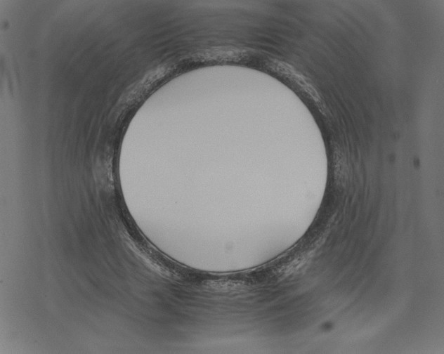 X0000078240633200612011605