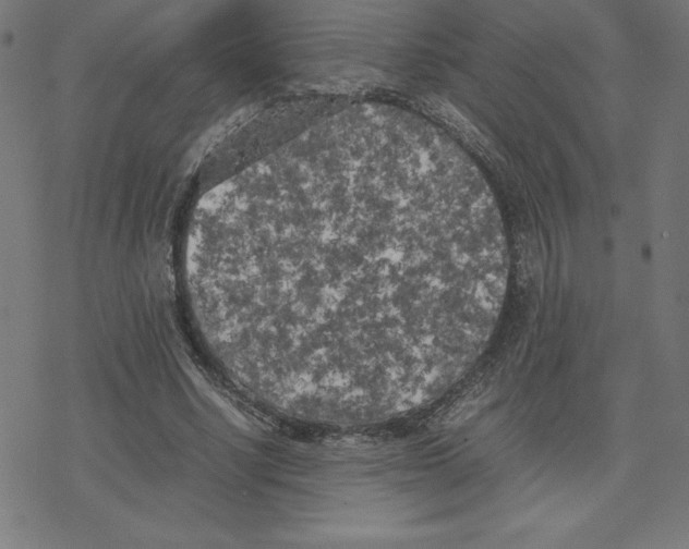 X0000078240634200612011605